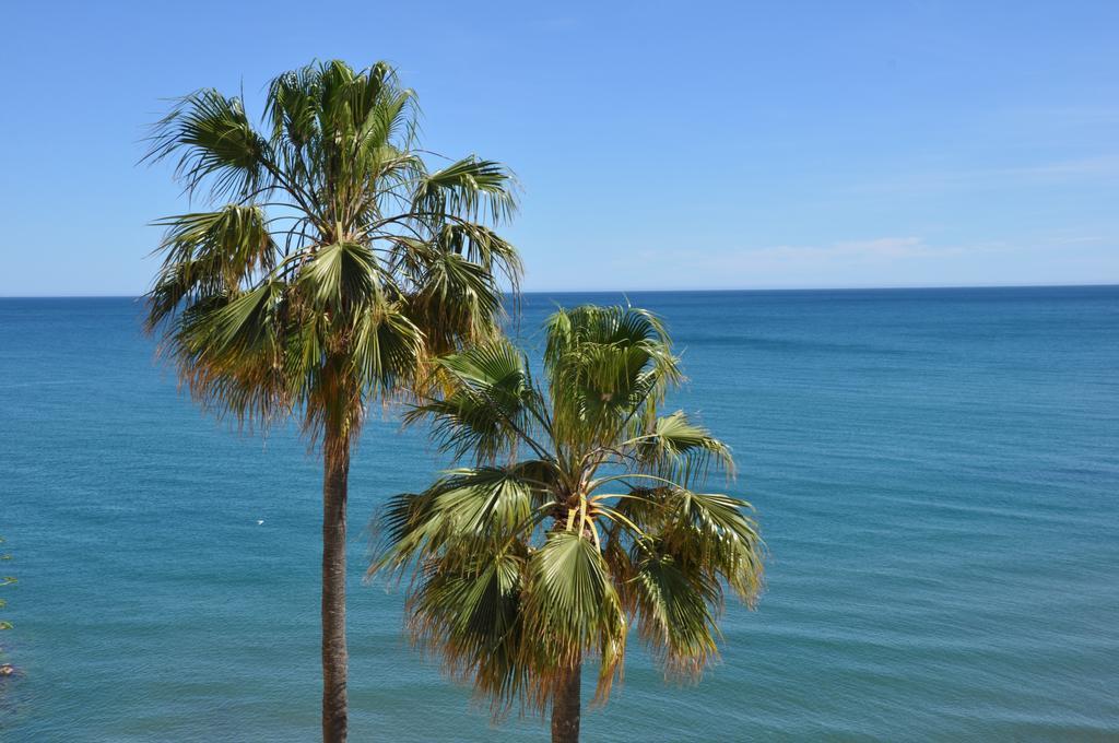 Appartement Sea View Terrace